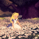 alice-in-tum-blrland avatar
