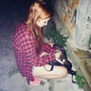 alice-in-wonderave avatar