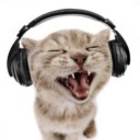 alice-likes-caaats avatar