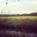 alice-lloyd-world avatar