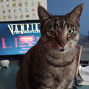 alice-loves-vtm avatar