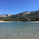 aliceacenightray avatar