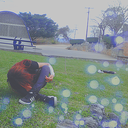 aliceannasnz-blog avatar