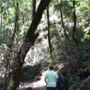 alicehatter88 avatar