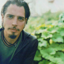 aliceingarden avatar