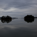 aliceleonelli avatar