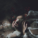 alicexpractice avatar