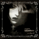 aliciavance4228 avatar