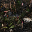 alicks-and-bites avatar