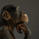 alien-clavicles avatar