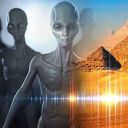 alien-facts avatar