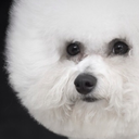 alienfairyprincess-blog avatar