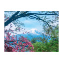 aliennasworld avatar