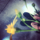 aliennation101-blog avatar