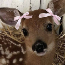 alienprrincessx avatar