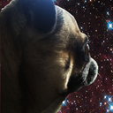 alienpuguniverse avatar