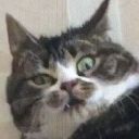 alienrandomblog avatar