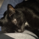 alienxofficial-blog avatar