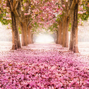 alifetimeofinspirations avatar