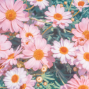 alignedspaces avatar