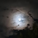 aliiiisblog-blog2 avatar