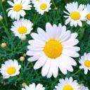 alikeandequal avatar