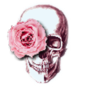 alilmusebundle avatar