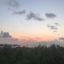 alin-the-alien avatar