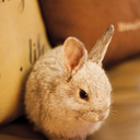 alinate-inspirations avatar