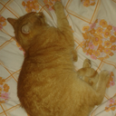 alinchenbarca avatar