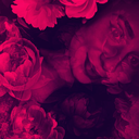 alinebhr-blog avatar