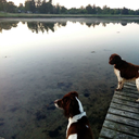 alineinthesand95 avatar