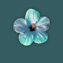 alintigunlukleri avatar