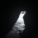 alisonlovesmushrooms avatar