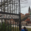 alissonemerson avatar