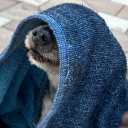 alistair-rebleps avatar