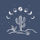 aliteralcactus avatar