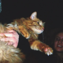 alittlebitofericabymyside-b-blog avatar