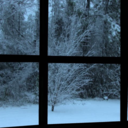 alittlebitofnightmusing avatar