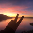 alittlebluewolf avatar