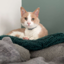 alittlecrazyisgood avatar