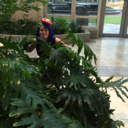 alittlefallofreyn avatar