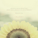 alittlefighter avatar