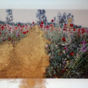 alittlelitany avatar