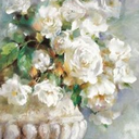 alittleprince avatar