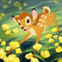 alittlestarboy avatar