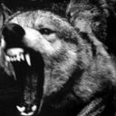 alittlet1000-blog avatar