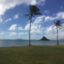 alittleveganblog avatar