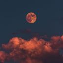 aliveandrestless5 avatar