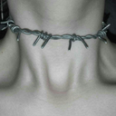 alixeinwonderwall avatar